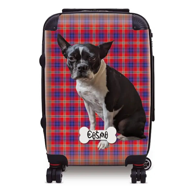 Clan Ainslie Tartan Pet Photo Luggage