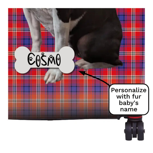 Clan Ainslie Tartan Pet Photo Luggage