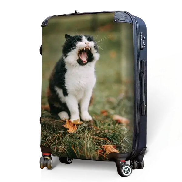 Cat and Kitten Photo Luggage