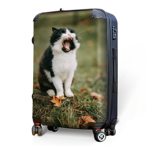 Cat and Kitten Luggage