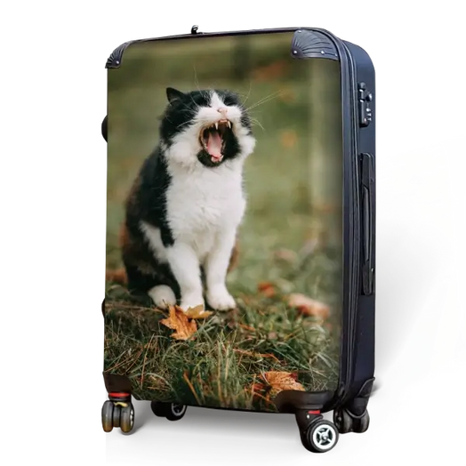 Cat and Kitten Photo Luggage