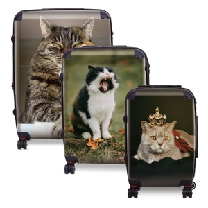 Cat and Kitten Photo Luggage