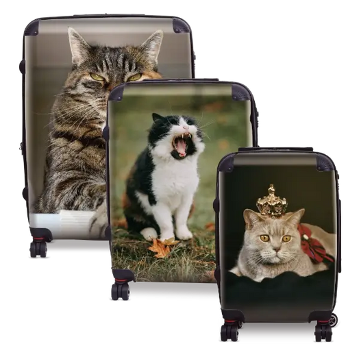 Cat and Kitten Photo Luggage