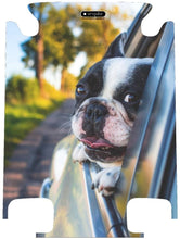 Additional Decoration - Singular Luggage