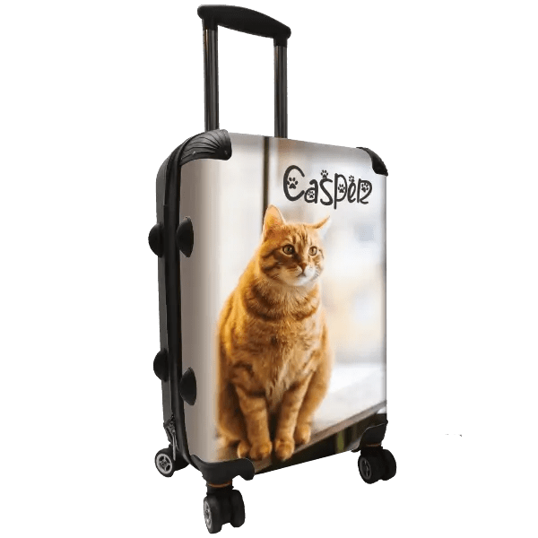 Cat and Kitten Photo Luggage - Singular Luggage