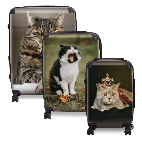 Cat and Kitten Photo Luggage - Singular Luggage