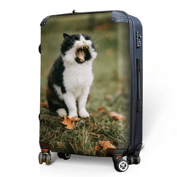 Cat and Kitten Photo Luggage - Singular Luggage