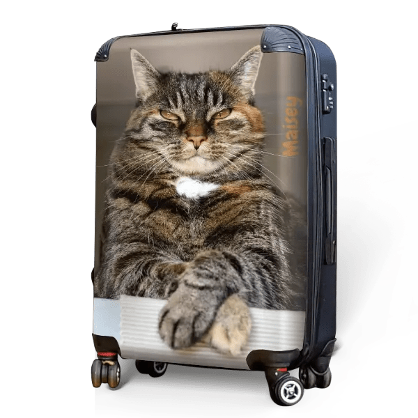 Cat and Kitten Photo Luggage - Singular Luggage