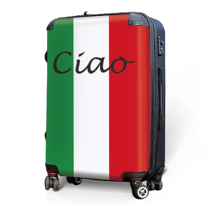 Ciao in Tricolour - Singular Luggage