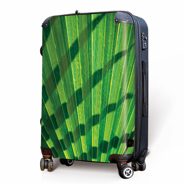 Palm Fan - Singular Luggage