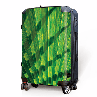 Palm Fan - Singular Luggage
