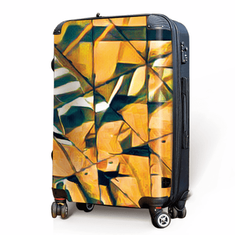 Street Geo - Singular Luggage